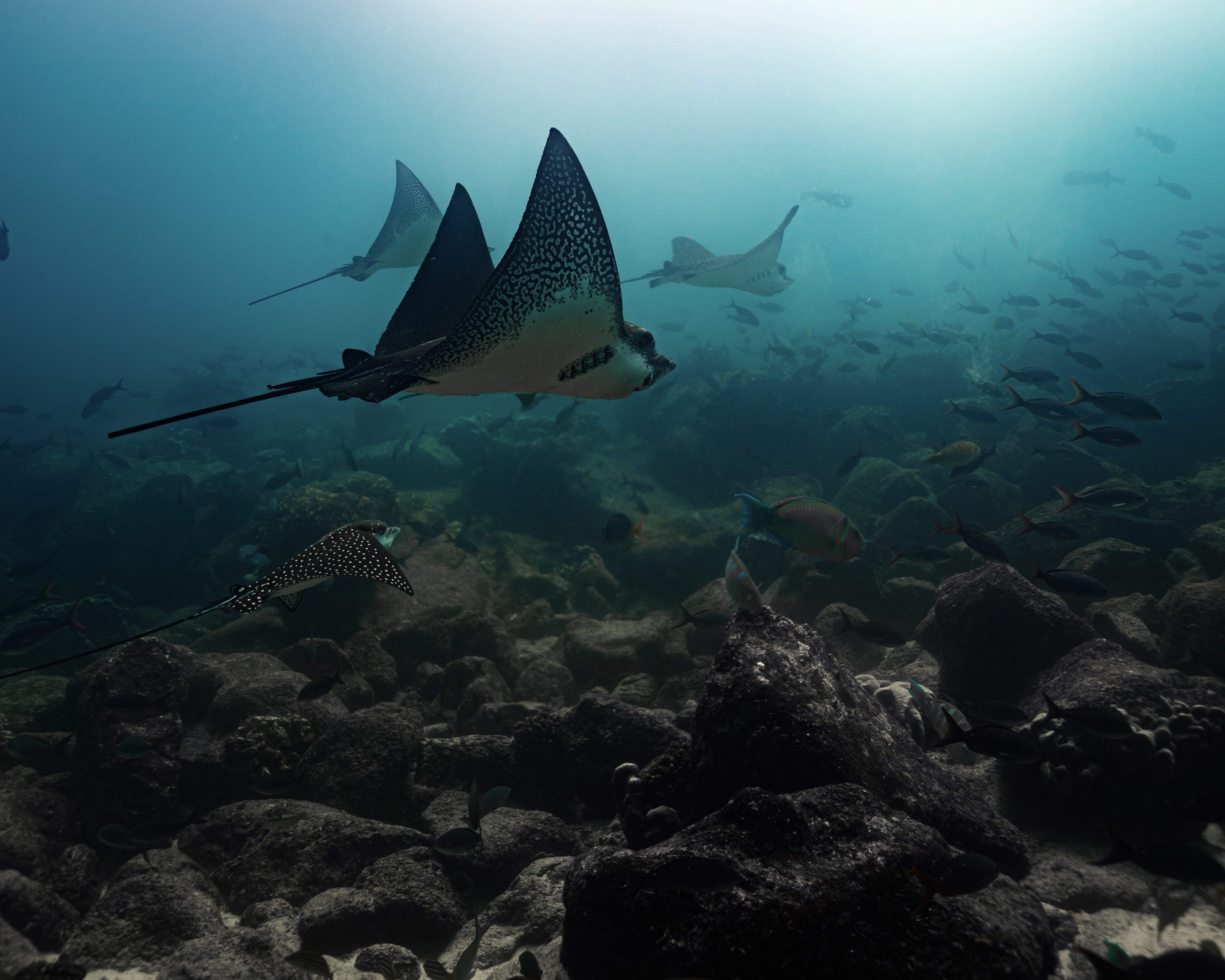 Marine Reserve