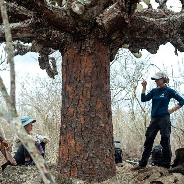 CDF employee talking to people next to a tree